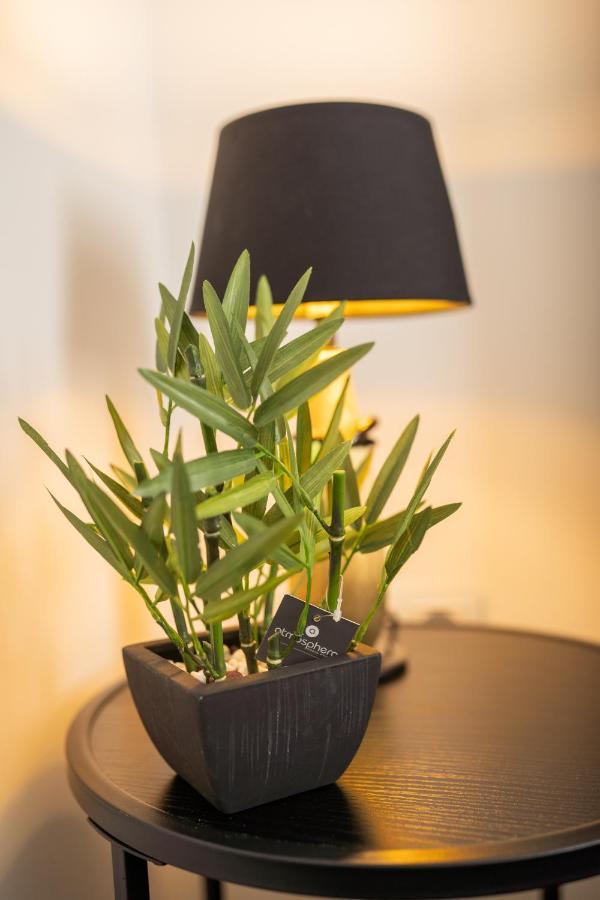 Elenas Rooms & Apartment 萨格勒布 外观 照片